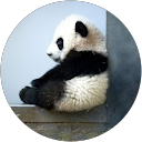Bex Finken profile picture